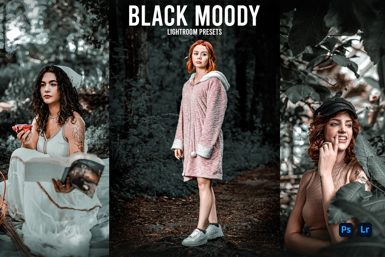 Dark moody Lightroom Presets