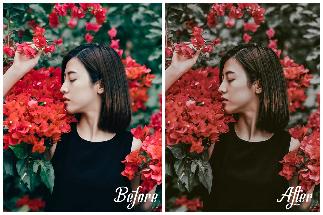 lightroom presets free download 2024